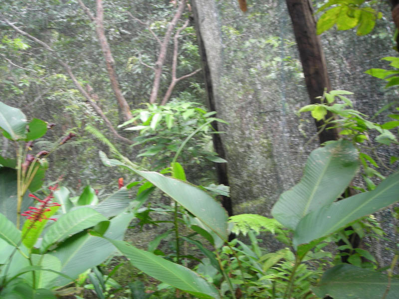 DSCN1858