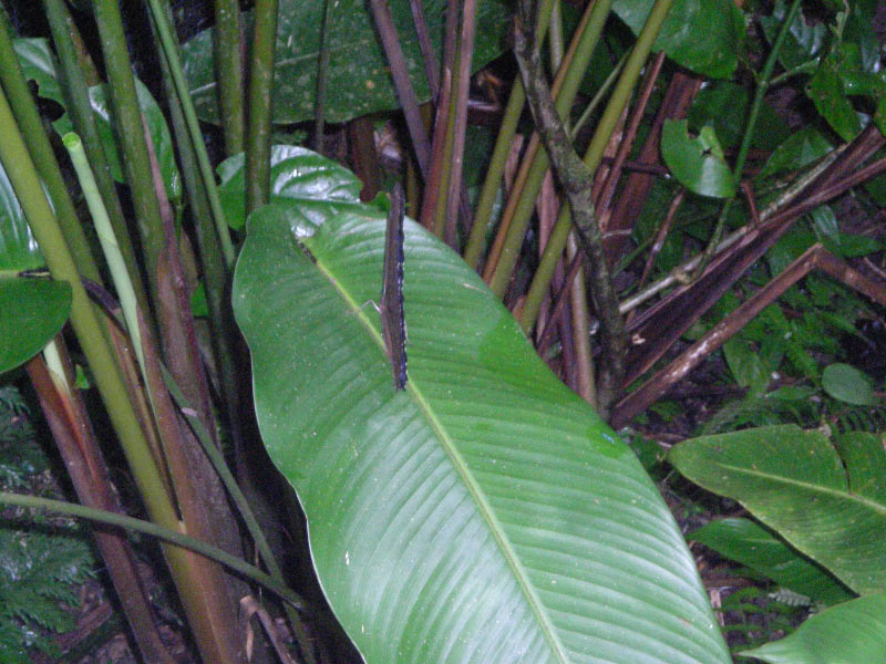 DSCN1862