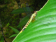 DSCN1859