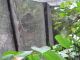 DSCN1860