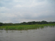 DSCN1928