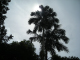 DSCN1950
