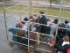 oasis_retreat-07_0075_c