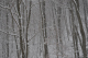 retreat_2k9_0129