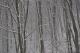 retreat_2k9_0130