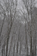 retreat_2k9_0131