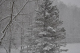 retreat_2k9_0132