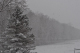 retreat_2k9_0134