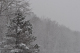 retreat_2k9_0135