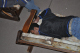 retreat_2k9_0157
