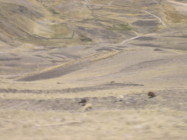 0809_a_066