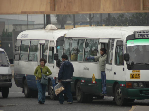 bonus_0079