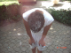 chicago2k7_c_168