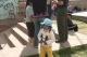0721_a__0093