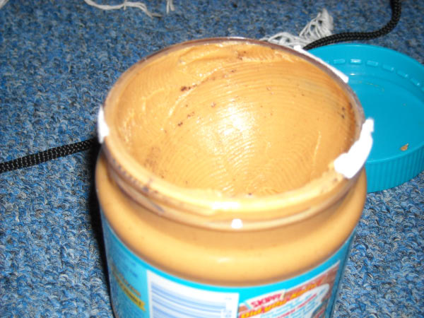 wave_msission2k9_0156