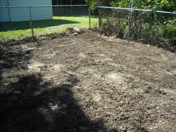 wave_msission2k9_0163