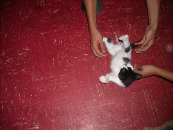 wave_msission2k9_0172