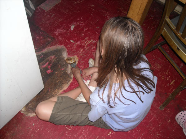 wave_msission2k9_0194