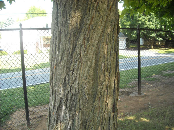 wave_msission2k9_0290