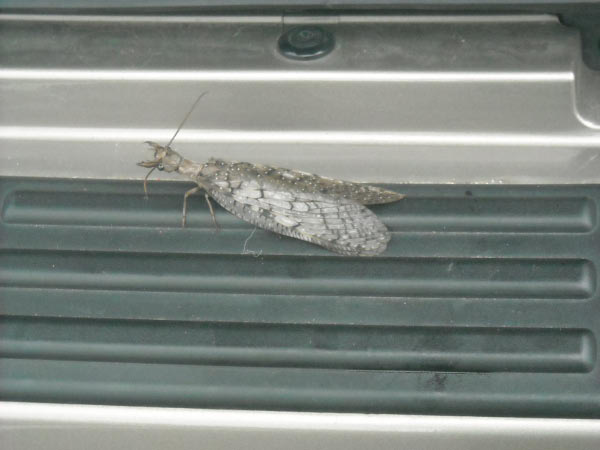 wave_msission2k9_0298