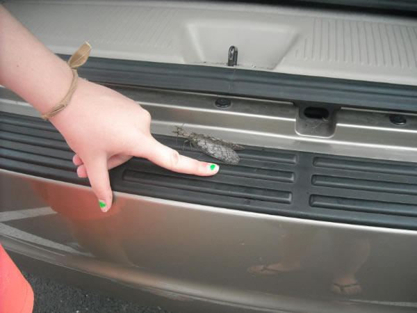 wave_msission2k9_0299